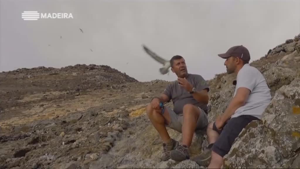 Imagem do Programa / Episiódio - Madeira Natura