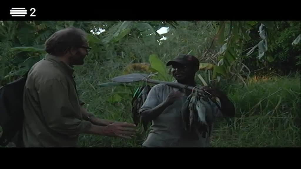 Imagem do Programa / Episiódio - Angola - Da Costa à Contracosta