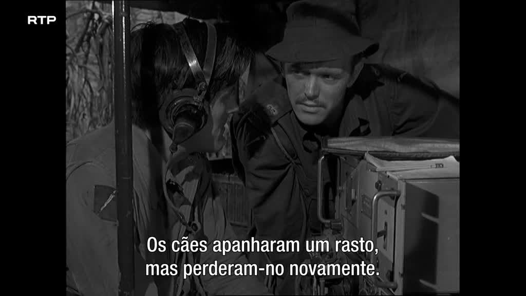 Imagem de O Santo