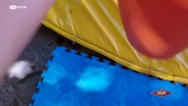 Imagem de Jogos Reais