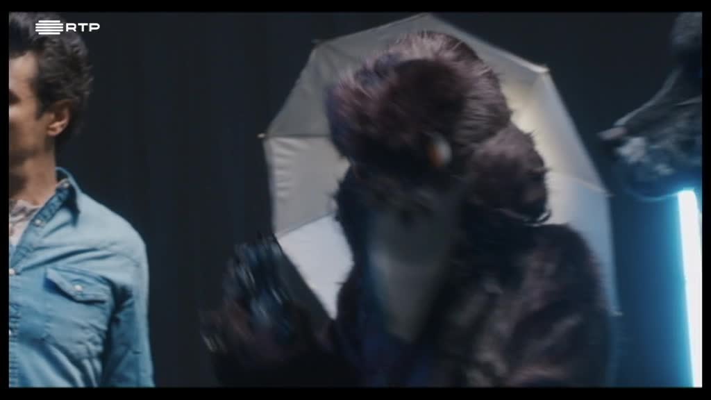 Imagem de A Criação - Um Bordel de Espuma