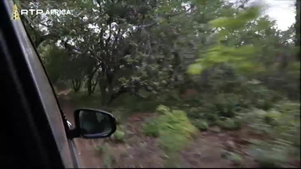 Imagem do Programa / Episiódio - Nô Bai, Guiné-Bissau