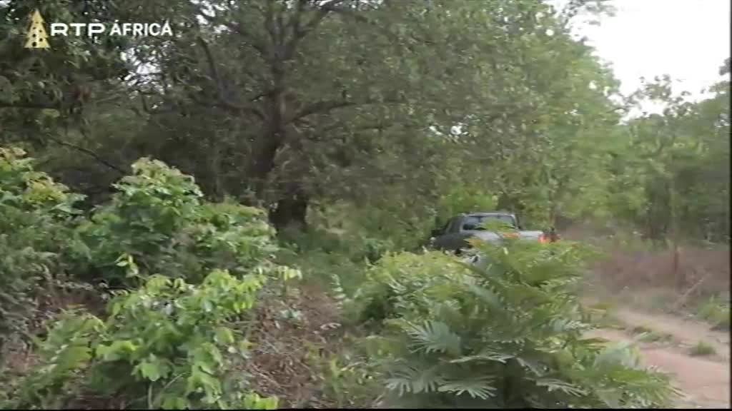 Imagem do Programa / Episiódio - Nô Bai, Guiné-Bissau