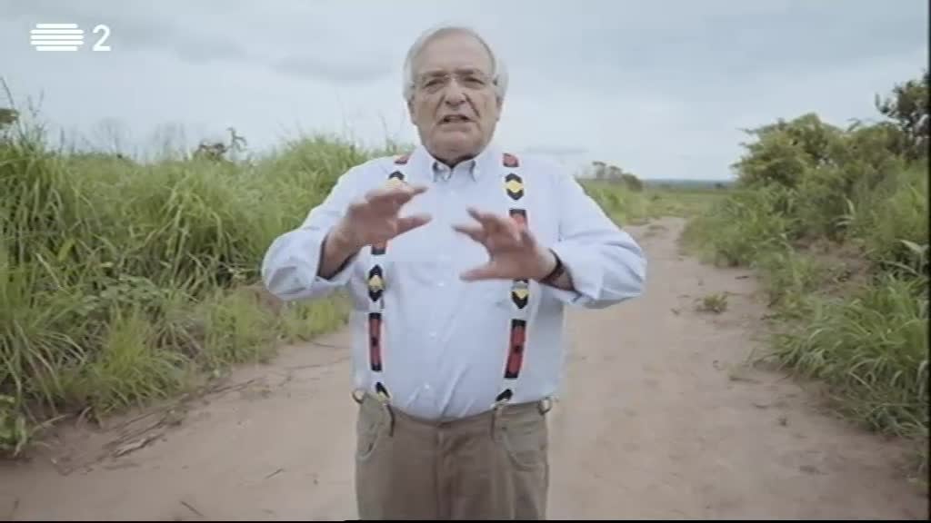 Imagem do Programa / Episiódio - História a História África - Angola 61 - O Início do Fim
