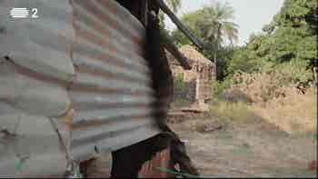 Do Mar Verde a Madina do Bo�...