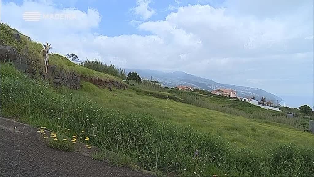 Imagem do Programa / Episiódio - Freguesias da Madeira