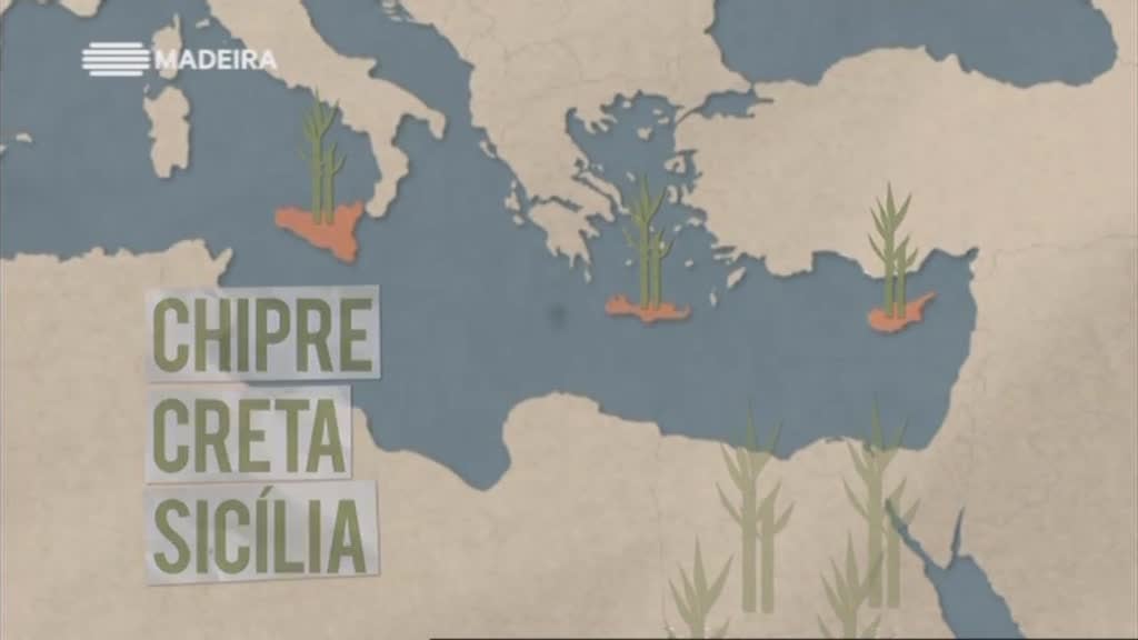 Imagem do Programa / Episiódio - A Madeira e a Viagem do Açucar