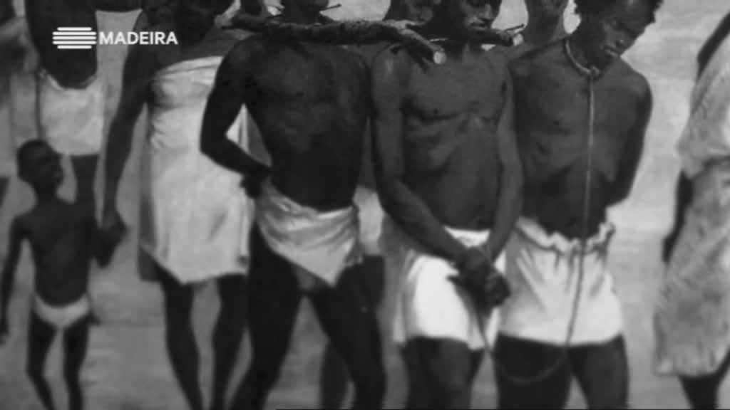 Imagem do Programa / Episiódio - A Madeira e a Viagem do Açucar