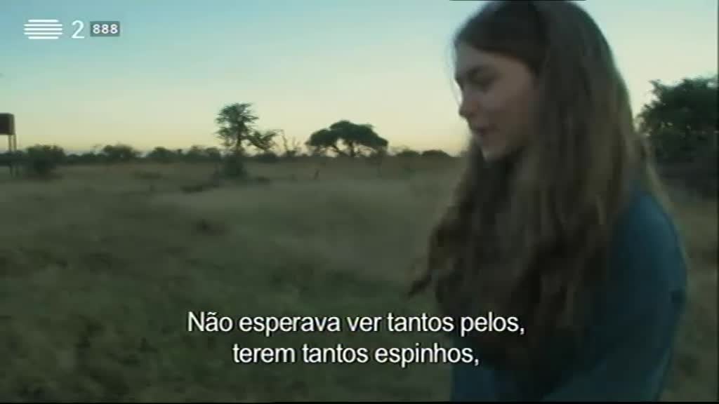 Imagem do Programa / Episiódio - Wild People - Convivendo Com Leões