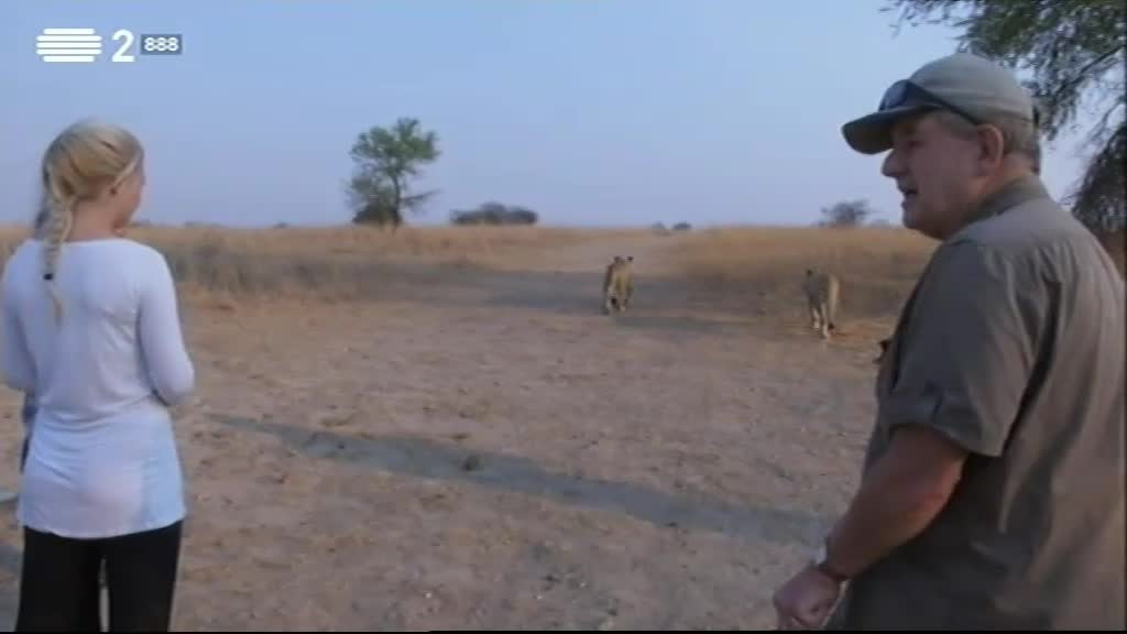 Imagem do Programa / Episiódio - Wild People - Convivendo Com Leões