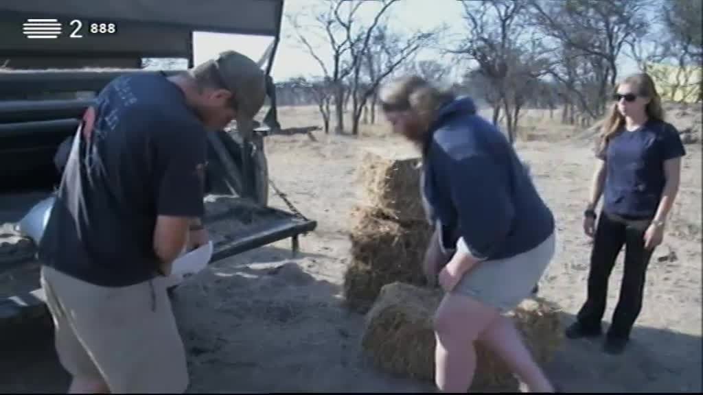 Imagem do Programa / Episiódio - Wild People - Convivendo Com Leões