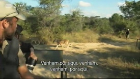 Wild People - Convivendo Com Leões