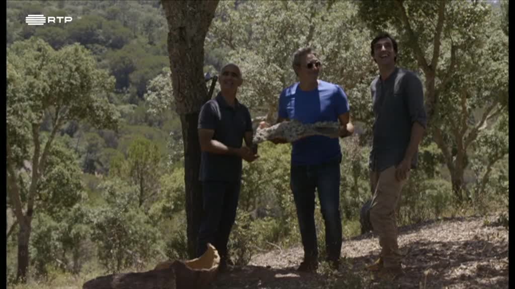 Imagem de Cuidado com a Língua!