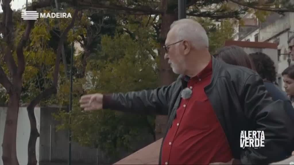 Imagem do Programa / Episiódio - Alerta Verde