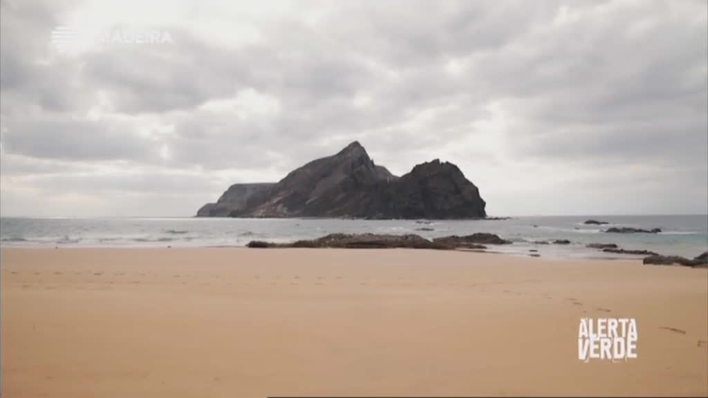 Imagem do Programa / Episiódio - Alerta Verde