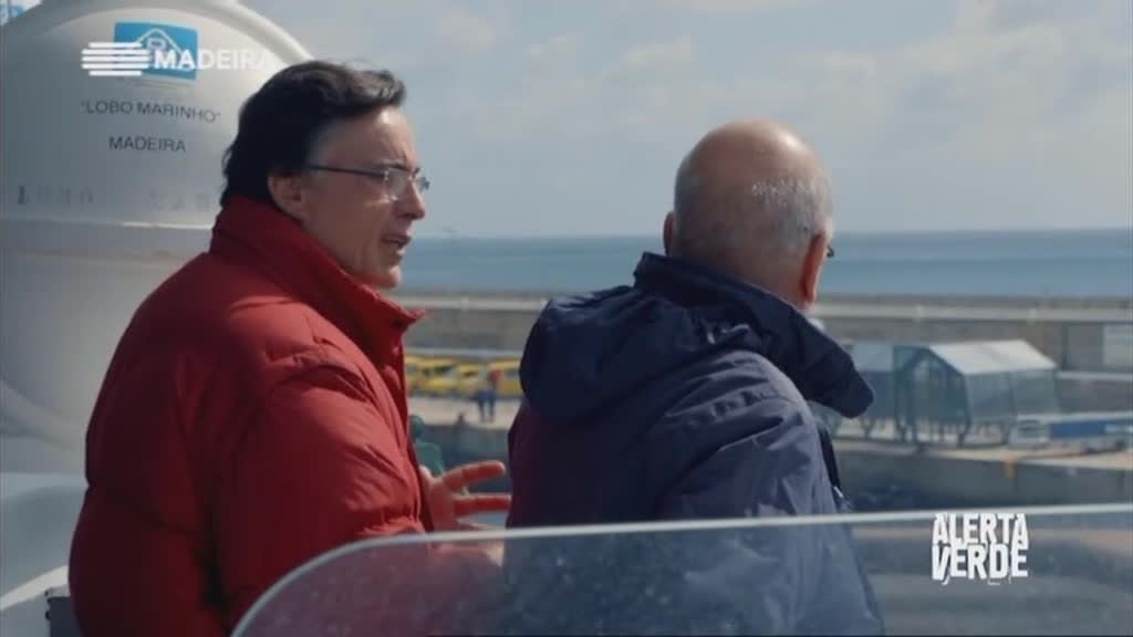 Imagem do Programa / Episiódio - Alerta Verde