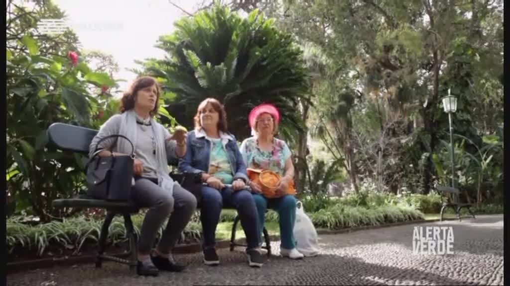 Imagem do Programa / Episiódio - Alerta Verde