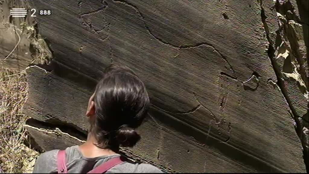 Imagem do Programa / Episiódio - A Arte da Luz Tem 20.000 Anos