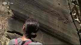 A Arte da Luz Tem 20.000 Anos