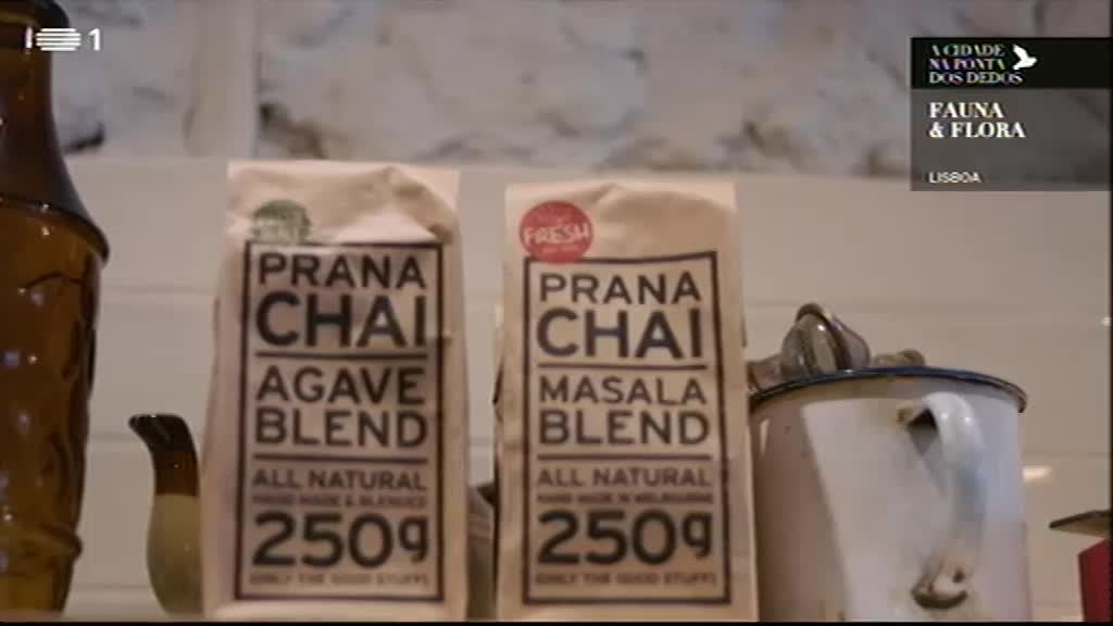 Imagem do Programa / Episiódio - A Cidade na Ponta dos Dedos - Fauna e Flora