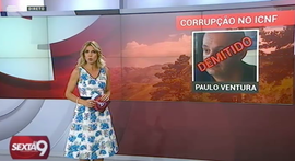 Corrupção no ICNF