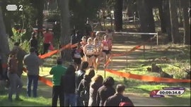 Imagem de Desporto 2