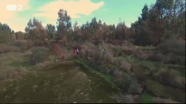 Imagem de Desporto 2