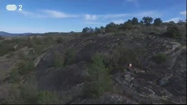 Imagem de Desporto 2