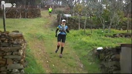 Imagem de Desporto 2