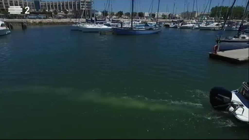 Imagem de Desporto 2