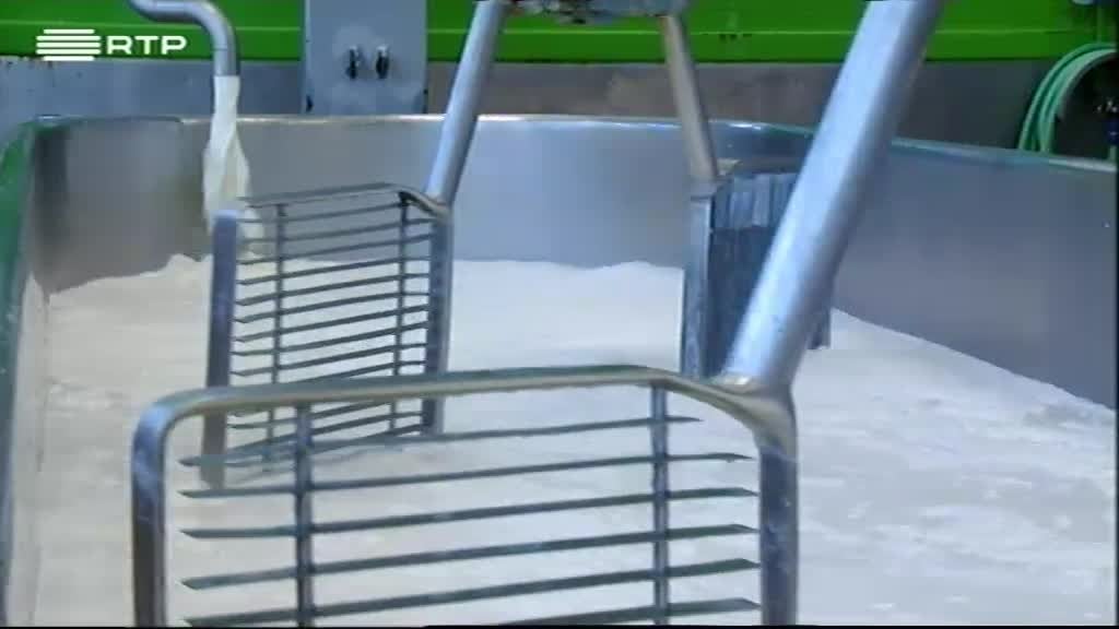 Imagem de Network Negócios - Quinta da Alorna e Montiqueijo