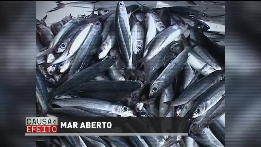 Imagem de Causa e Efeito