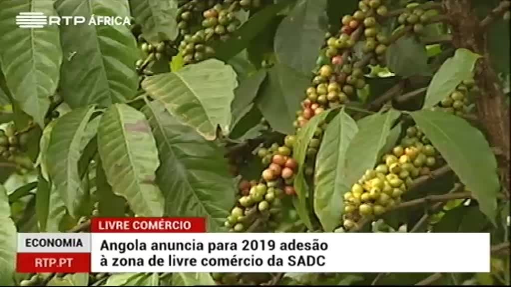 Imagem de Repórter África - 2ª Edição