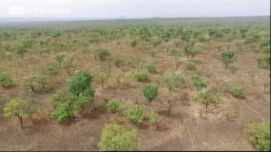 Imagem de África Global