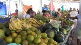 Imagem de Alzerina Monteiro / Alimentao