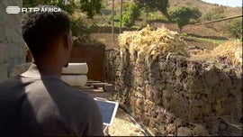 Imagem de Mrio Almeida / Cinema