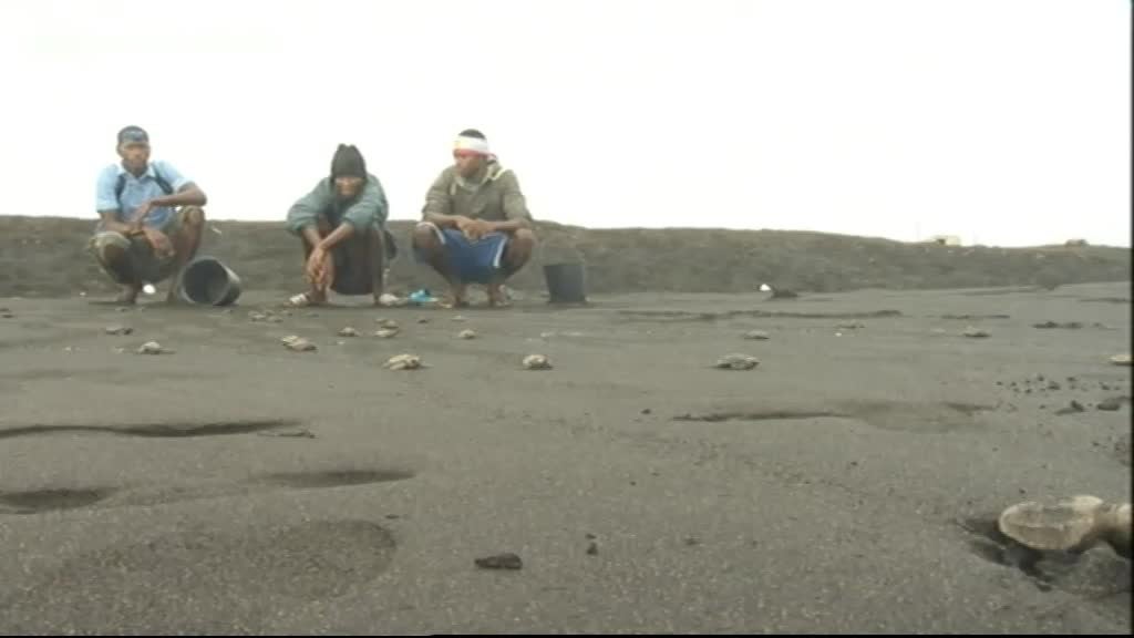 Imagem de Nha Terra Nha Cretcheu