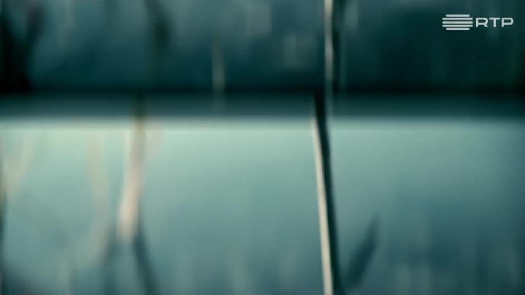 Imagem de 2077 - 10 Segundos Para o Futuro - Estranhamento Global