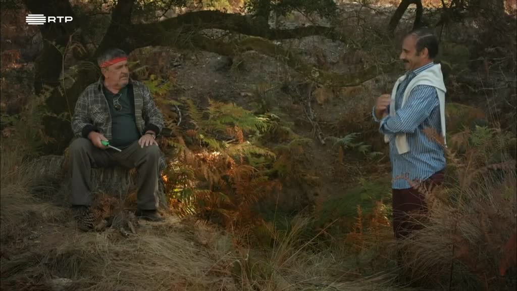 Imagem de Excursões Air Lino - Anita Vai às Termas