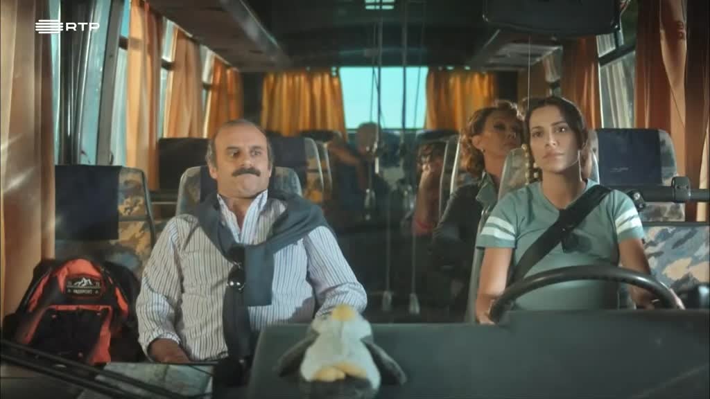 Imagem de Excursões Air Lino - Anita Vai à Inspecção