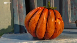 Imagem de Scream Street