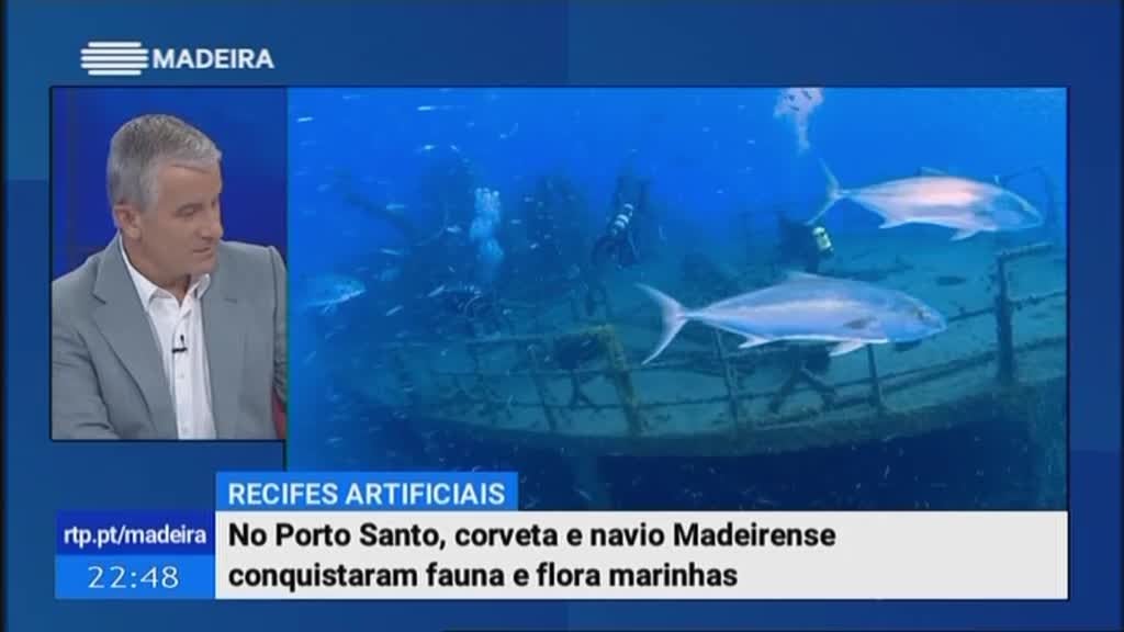 A importncia dos recifes artificiais nos mares da Madeira.