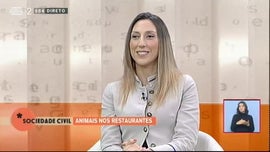 Imagem de Animais nos Restaurantes