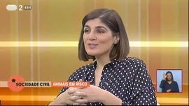 Imagem de Animais em Risco