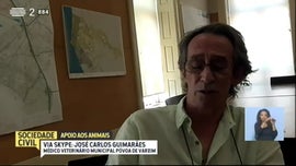 Imagem de Apoio aos Animais