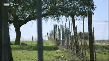 Falamos de Esquecimento na Literatur...