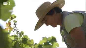 O protagonista � o Melodrama, na Lit...