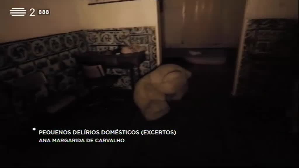 Imagem de Literatura Aqui - Vamos para assuntos mais ou menos domésticos, na Literatura Aqui