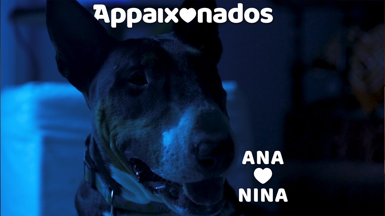Imagem do Programa / Episiódio - Appaixonados - Date 9 - Ana ♡ Nina