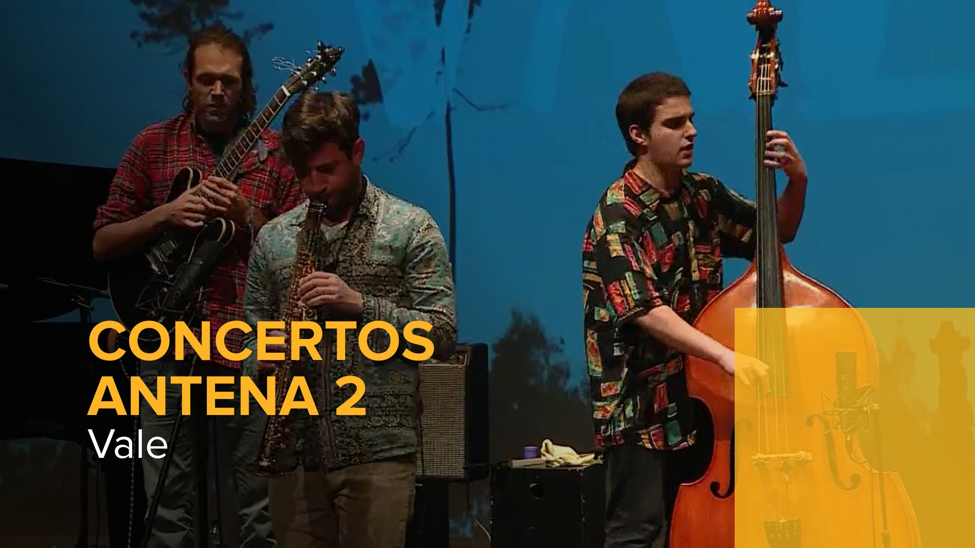 Imagem de Concertos Antena 2 - Vale | 9 Fevereiro 2022